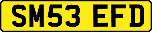SM53EFD
