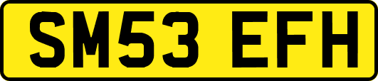SM53EFH