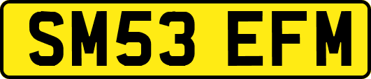SM53EFM