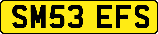 SM53EFS
