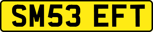 SM53EFT