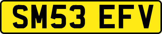 SM53EFV