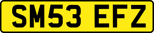 SM53EFZ