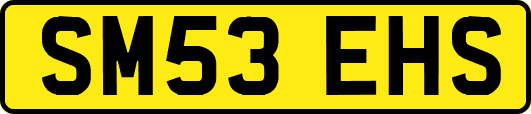 SM53EHS