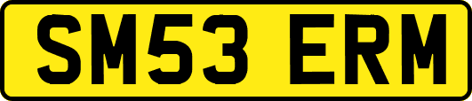 SM53ERM