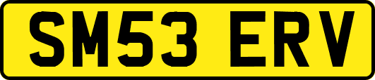 SM53ERV