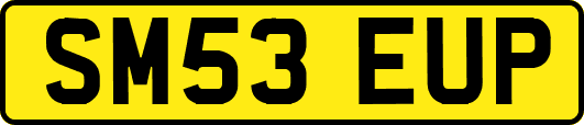 SM53EUP