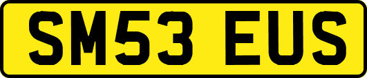 SM53EUS