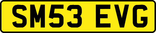SM53EVG
