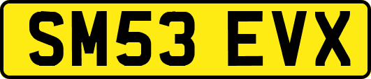 SM53EVX