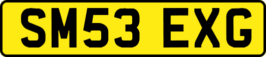 SM53EXG