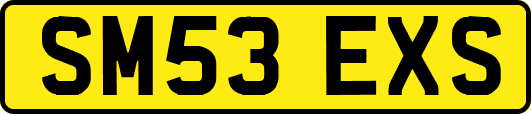 SM53EXS