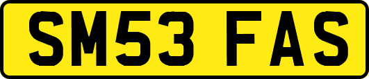 SM53FAS