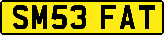 SM53FAT