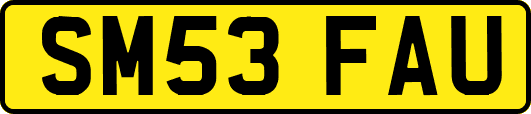 SM53FAU