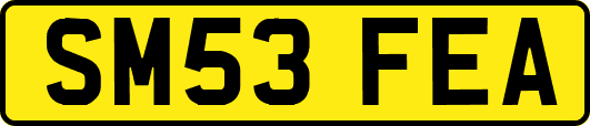 SM53FEA