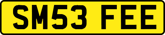 SM53FEE