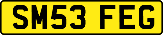 SM53FEG