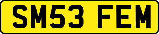 SM53FEM