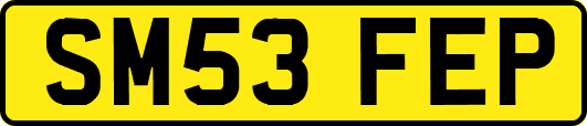 SM53FEP