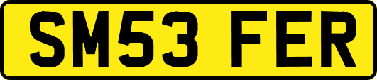 SM53FER