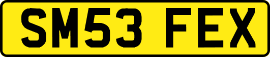 SM53FEX