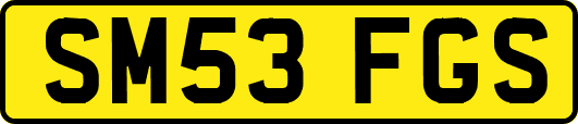 SM53FGS
