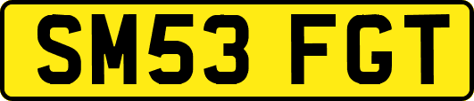 SM53FGT