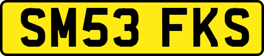 SM53FKS
