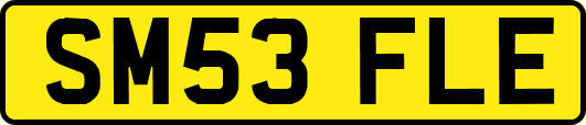 SM53FLE