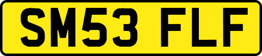 SM53FLF