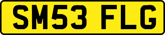 SM53FLG