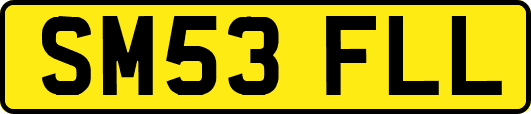 SM53FLL