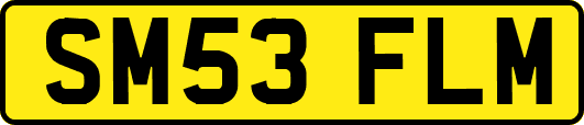 SM53FLM