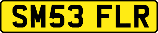 SM53FLR