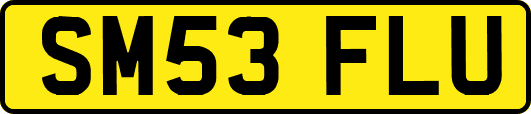 SM53FLU