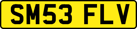 SM53FLV