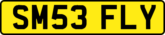 SM53FLY