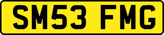 SM53FMG