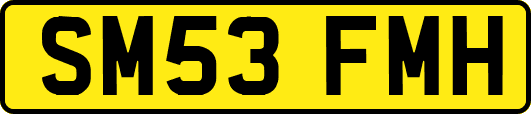 SM53FMH