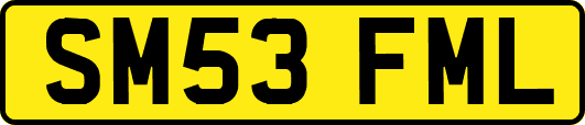 SM53FML