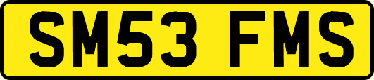 SM53FMS