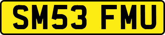 SM53FMU