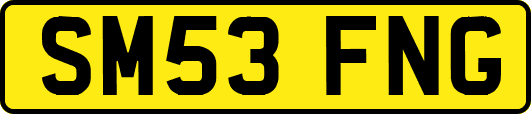SM53FNG