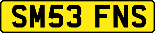 SM53FNS