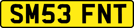 SM53FNT
