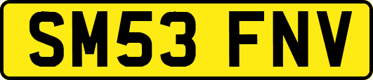 SM53FNV