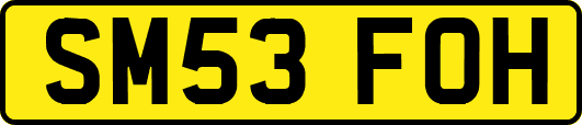 SM53FOH