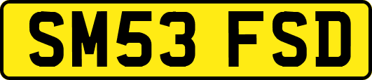 SM53FSD
