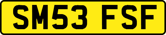 SM53FSF
